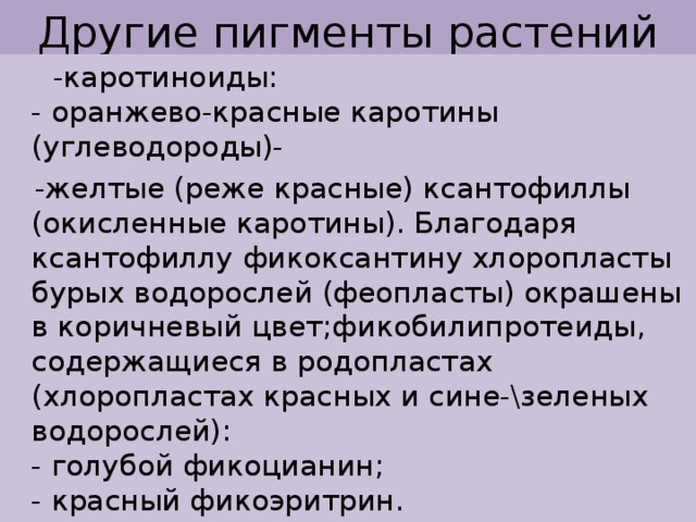 Другие пигменты растений  -каротиноиды:  - оранжево-красные каротины (углеводороды)-  -желтые (реже красные) ксантофиллы (окисленные каротины). Благодаря ксантофиллу фикоксантину хлоропласты бурых водорослей (феопласты) окрашены в коричневый цвет;фикобилипротеиды, содержащиеся в родопластах (хлоропластах красных и сине-\зеленых водорослей):  - голубой фикоцианин;  - красный фикоэритрин. 
