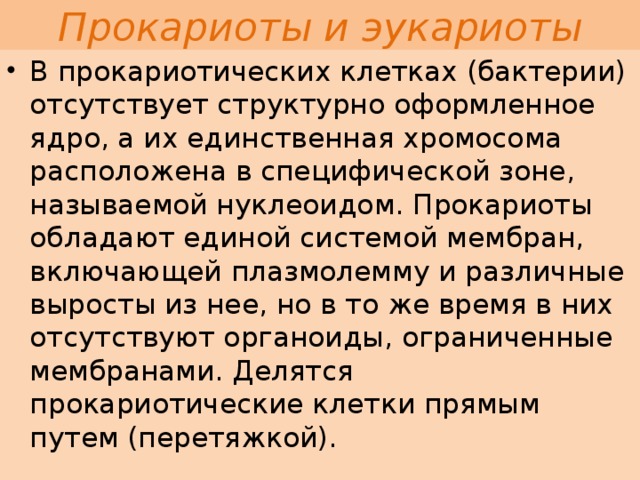 Прокариоты и эукариоты В прокариотических клетках (бактерии) отсутствует структурно оформленное ядро, а их единственная хромосома расположена в специфической зоне, называемой нуклеоидом. Прокариоты обладают единой системой мембран, включающей плазмолемму и различные выросты из нее, но в то же время в них отсутствуют органоиды, ограниченные мембранами. Делятся прокариотические клетки прямым путем (перетяжкой). 
