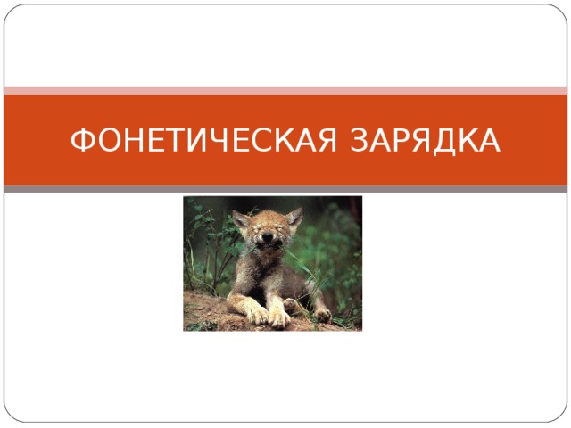 ФОНЕТИЧЕСКАЯ ЗАРЯДКА 
