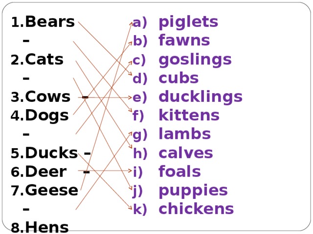 Bears – Cats – Cows – Dogs – Ducks – Deer – Geese – Hens – Horses – Swine – Sheep - piglets fawns goslings cubs ducklings kittens lambs calves foals puppies chickens 