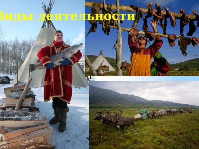 Виды деятельности 