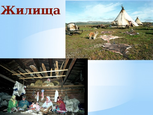 Жилища 