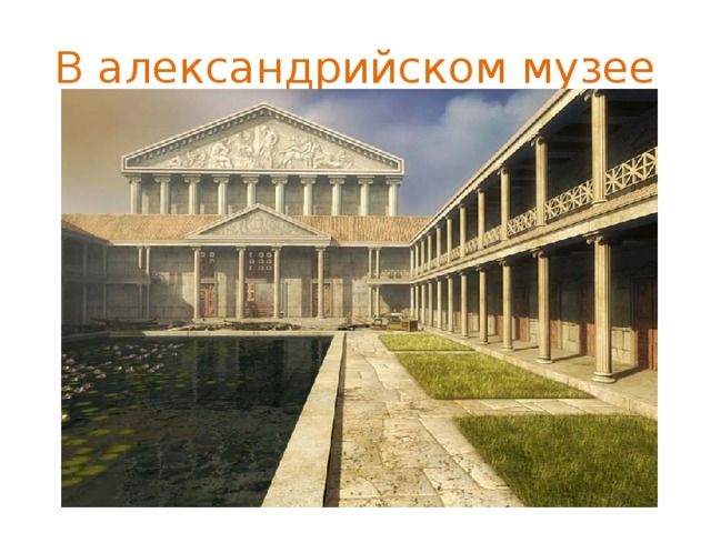 В александрийском музее