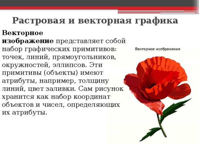 Растровая и векторная графика   Векторное изображение  представляет собой набор графических примитивов: точек, линий, прямоугольников, окружностей, эллипсов. Эти примитивы (объекты) имеют атрибуты, например, толщину линий, цвет заливки. Сам рисунок хранится как набор координат объектов и чисел, определяющих их атрибуты.  