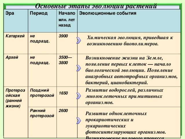 Основные этапы эволюции растений Эра Период  Катархей Начало млн. лет назад не подразд.  Архей  Эволюционные события 3900 не подразд.   Протерозойская (ранней жизни)  3500— 3800  Поздний протерозой  1650  Ранний протерозой 2600 Химическая эволюция, приведшая к возникновению биополимеров . Возникновение жизни на Земле, появление первых клеток — начало биологической эволюции. Появление анаэробных автотрофных организмов, бактерий, цианобактерий.  Развитие водорослей, различных многоклеточных примитивных организмов. Развитие одноклеточных прокариотических и эукариотических фотосинтезирующих организмов. Возникновение полового процесса.  