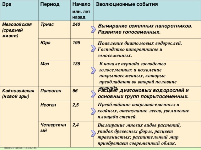 Эра Период  Мезозойская (средней жизни)  Начало млн. лет назад Триас  Эволюционные события 240 Юра  195 Мел  Кайнозойская (новой эры) 136  Палеоген Неоген 66 2,5 Четвертичный 2,4 Вымирание семенных папоротников. Развитие голосеменных.  Появление диатомовых водорослей. Господство папоротников и голосеменных.  В начале периода господство голосеменных и появление покрытосеменных, которые преобладают во второй половине периода.  Расцвет диатомовых водорослей и основных групп покрытосеменных. Преобладание покрытосеменных и хвойных, отступание лесов, увеличение площади степей. Вымирание многих видов растений, упадок древесных форм, расцвет травянистых; растительный мир приобретает современный облик. 