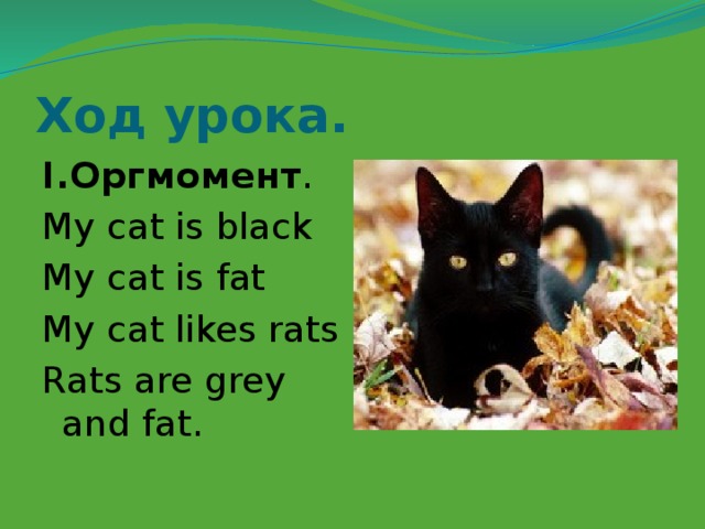 Ход урока. I.Оргмомент . My cat is black My cat is fat My cat likes rats Rats are grey and fat. 