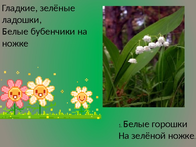 Гладкие, зелёные ладошки, Белые бубенчики на ножке   1. Белые горошки  На зелёной ножке . 