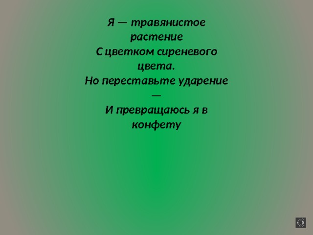 Я — травянистое растение  С цветком сиреневого цвета.  Но переставьте ударение —  И превращаюсь я в конфету 