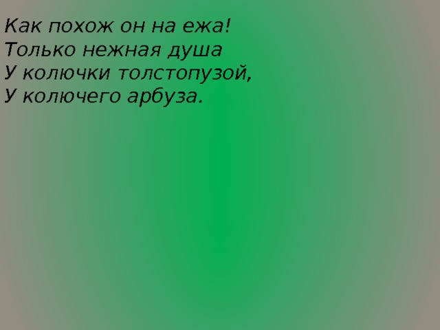 Как похож он на ежа! Только нежная душа У колючки толстопузой, У колючего арбуза.  