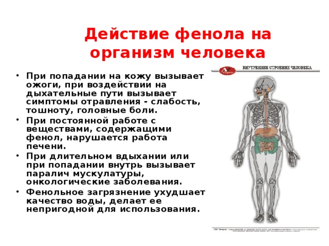 Действие фенола на организм человека При попадании на кожу вызывает ожоги, при воздействии на дыхательные пути вызывает симптомы отравления - слабость, тошноту, головные боли. При постоянной работе с веществами, содержащими фенол, нарушается работа печени. При длительном вдыхании или при попадании внутрь вызывает паралич мускулатуры, онкологические заболевания. Фенольное загрязнение ухудшает качество воды, делает ее непригодной для использования.  