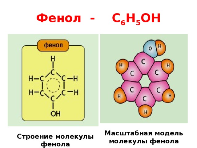 Фенол - С 6 Н 5 ОН Масштабная модель молекулы фенола Строение молекулы фенола 