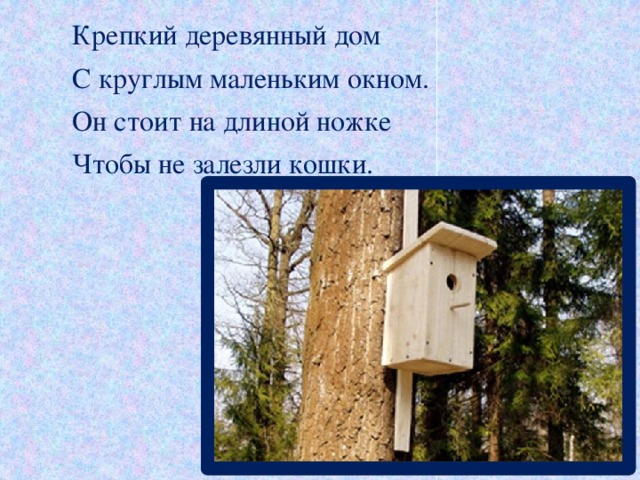 Крепкий деревянный дом            С круглым маленьким окном.            Он стоит на длиной ножке            Чтобы не залезли кошки.