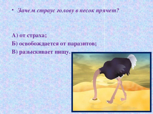 Зачем страус голову в песок прячет?