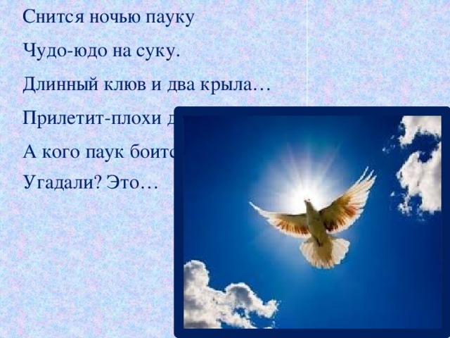 Снится ночью пауку            Чудо-юдо на суку.            Длинный клюв и два крыла…            Прилетит-плохи дела.            А кого паук боится?             Угадали? Это… 