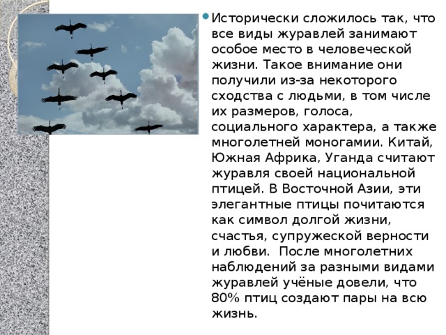 Исторически сложилось так, что все виды журавлей занимают особое место в человеческой жизни. Такое внимание они получили из-за некоторого сходства с людьми, в том числе их размеров, голоса, социального характера, а также многолетней моногамии. Китай, Южная Африка, Уганда считают журавля своей национальной птицей. В Восточной Азии, эти элегантные птицы почитаются как символ долгой жизни, счастья, супружеской верности и любви.  После многолетних наблюдений за разными видами журавлей учёные довели, что 80% птиц создают пары на всю жизнь. 