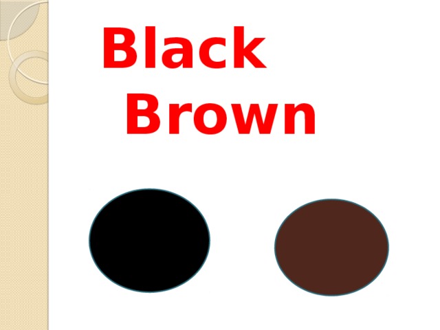 Black Brown 
