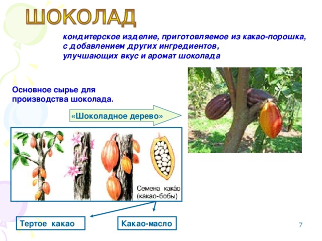 Приложение - слайд кондитерское изделие, приготовляемое из какао-порошка, с добавлением других ингредиентов, улучшающих вкус и аромат шоколада  Основное сырье для производства шоколада. «Шоколадное дерево» Тертое какао Какао-масло   