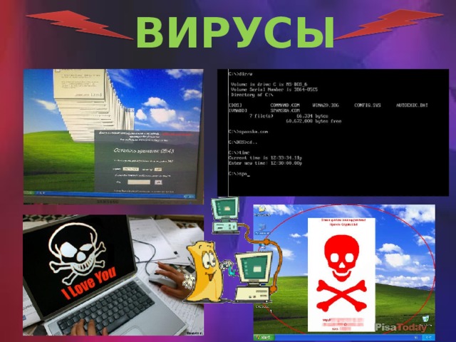 ВИРУСЫ 