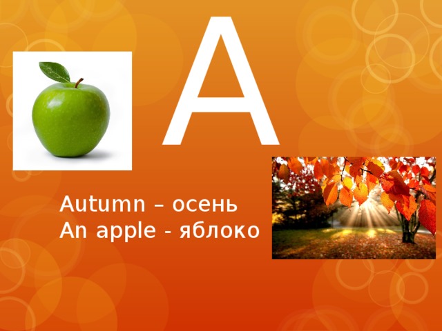 A Autumn – осень An apple - яблоко 