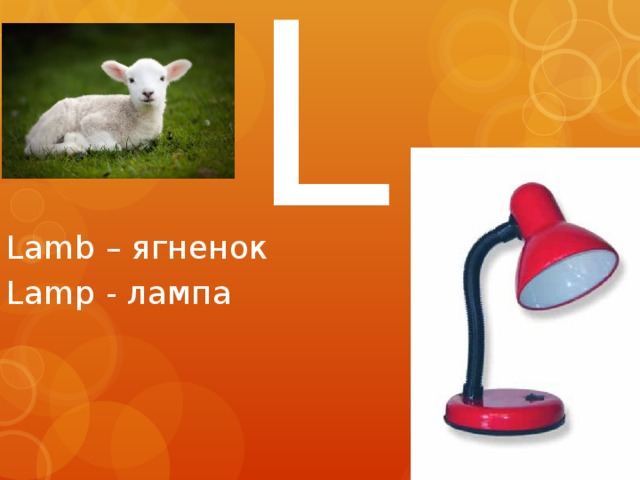 L Lamb – ягненок Lamp - лампа 