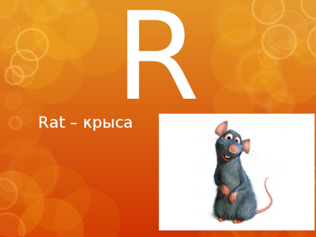 R Rat – крыса 