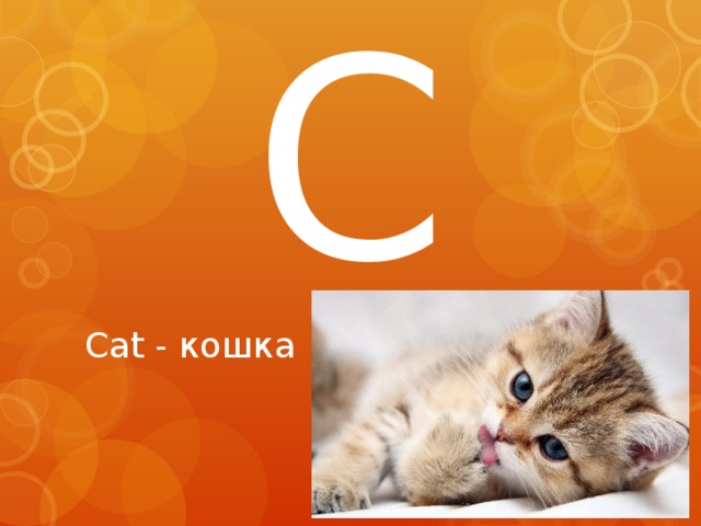 C Cat - кошка 