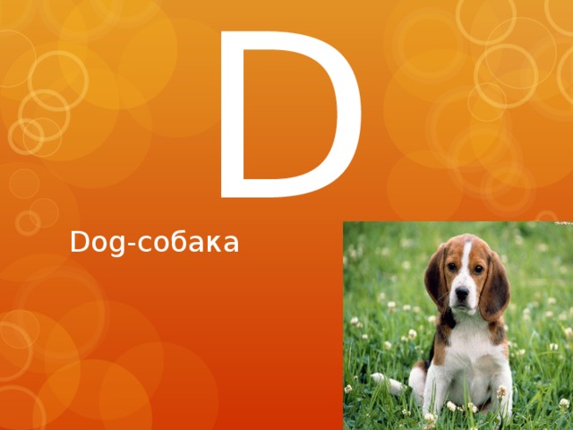 D Dog-собака 