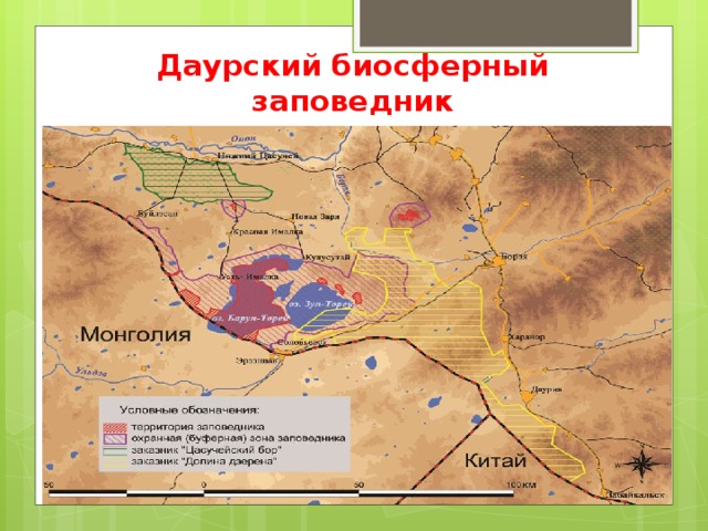 Даурский биосферный заповедник 