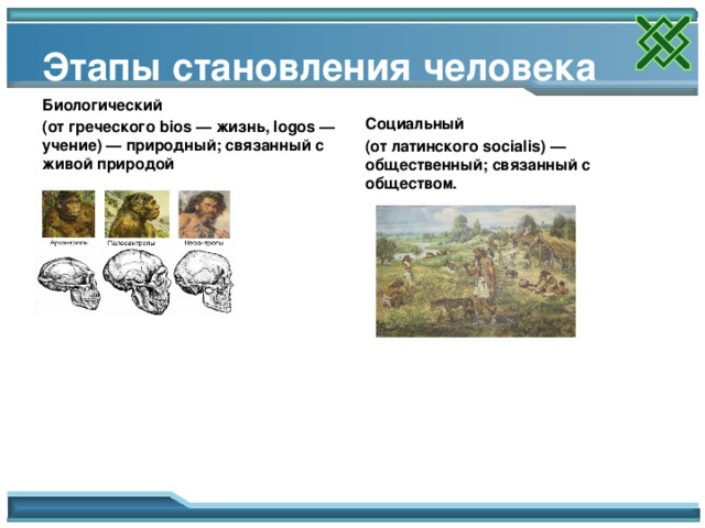 Этапы становления человека Биологический (от греческого bios — жизнь, logos — учение) — природный; связанный с живой природой  Социальный (от латинского socialis) — общественный; связанный с обществом.  