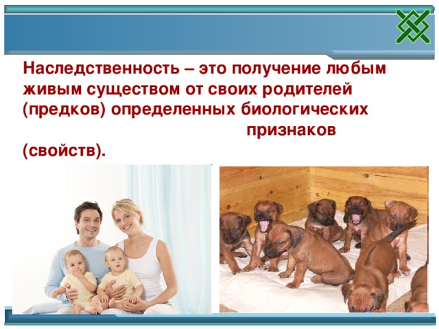 Наследственность – это получение любым живым существом от своих родителей (предков) определенных биологических  признаков (свойств). 