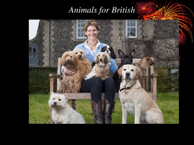 Animals for British
