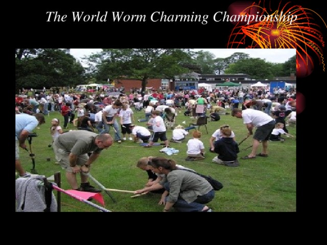 The World Worm Charming Championship