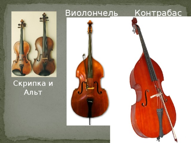 Виолончель Контрабас Скрипка и Альт 